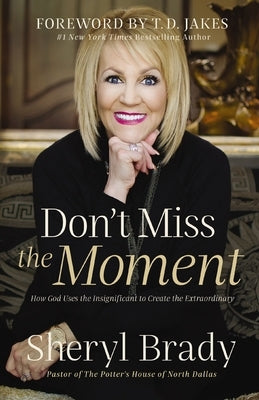 Don't Miss the Moment: How God Uses the Insignificant to Create the Extraordinary by Brady, Sheryl