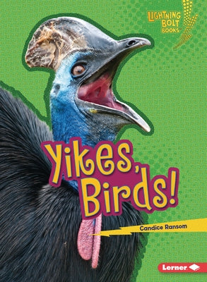 Yikes, Birds! by Ransom, Candice
