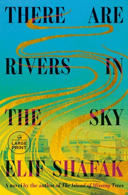 There Are Rivers in the Sky by Shafak, Elif