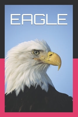Eagle by Tripathi, Anshuman