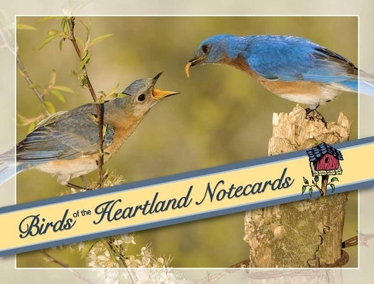 Birds of the Heartland Notecards [With 12 Envelopes] by Tekiela, Stan