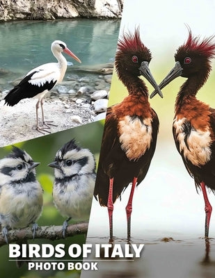 Birds of Italy Photo Book: Explore Italy's Avian Wonders Through A Stunning Collection Of 40 Beautiful Images by Stanley, Nikolas