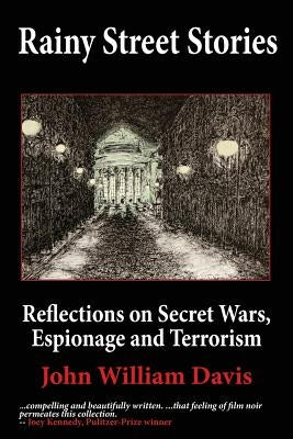 Rainy Street Stories by Davis, John W.
