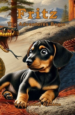 Fritz: The Adventures Begin by Jennings, Vaughn