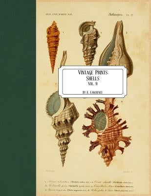 Vintage Prints: Shells: Vol. 9 by Lawrence, E.