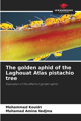 The golden aphid of the Laghouat Atlas pistachio tree by Kouidri, Mohammed