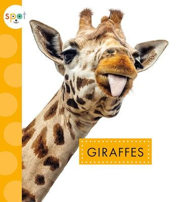 Giraffes by Klukow, Mary Ellen