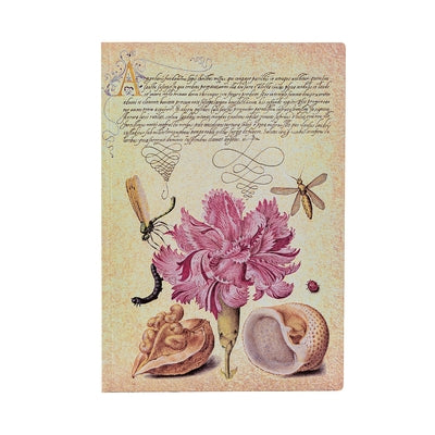 Pink Carnation MIDI Lined Softcover Journal, 176pg, 100gsm by Paperblanks (Mira Botanica) by Paperblanks