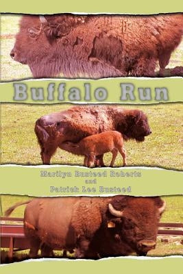 Buffalo Run by Roberts, Marilyn Busteed