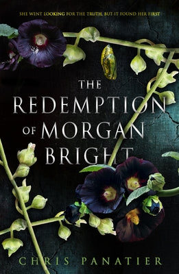 The Redemption of Morgan Bright by Panatier, Chris