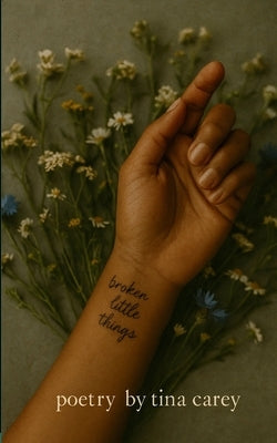broken little things by Carey, Tina