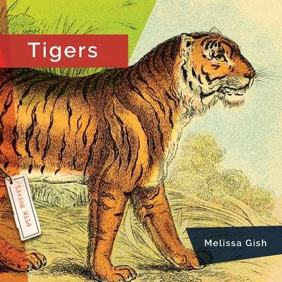 Tigers by Hanel, Rachael