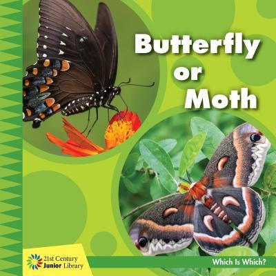 Butterfly or Moth by Orr, Tamra B.