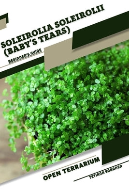 Soleirolia soleirolii (Baby's Tears): Open terrarium, Beginner's Guide by Sabanen, Tetiana
