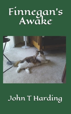 Finnegan's Awake by Harding, John T.