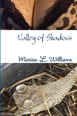 Valley of Shadows by Williams, Marisa L.