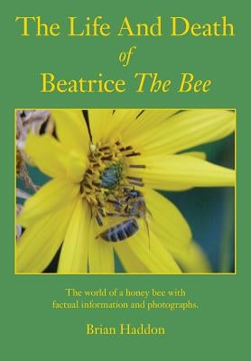 The Life and Death of Beatrice the Bee by Haddon, Brian