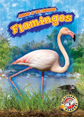 Flamingos by Kenney, Karen