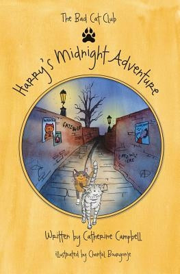 Harry's Midnight Adventure by Campbell, Catherine