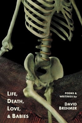 Life, Death, Love, and Babies by Brehmer, David