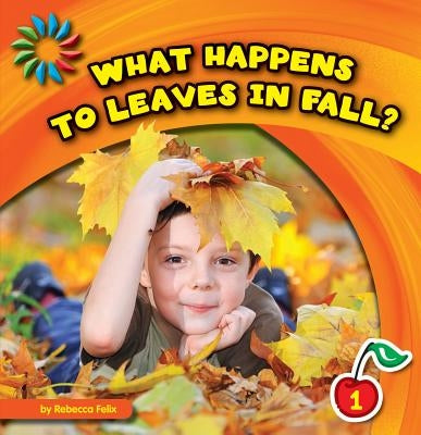 What Happens to Leaves in Fall? by Felix, Rebecca
