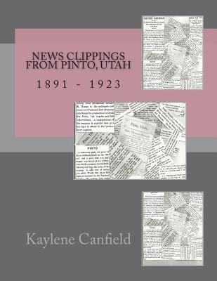 News Clippings from Pinto, Utah: 1891 - 1923 by Andersen, David
