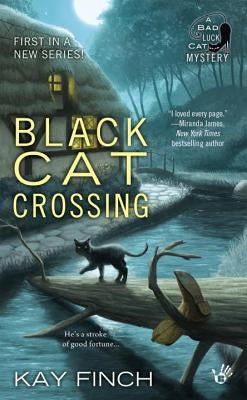 Black Cat Crossing by Finch, Kay
