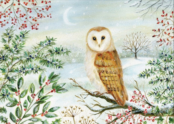 Barn Owl in Winter Deluxe Boxed Holiday Cards (20 Cards, 21 Self-Sealing Envelopes) by Peter Pauper Press Inc