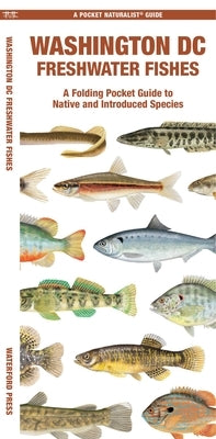 Washington DC Freshwater Fishes by Morris, Matthew