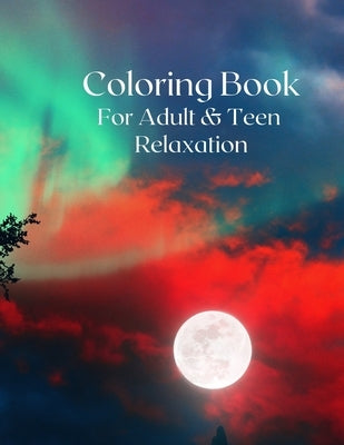 Coloring Book for Adult and Teen Relaxation: 14 Minimum Stress Relief Desings and Patterns by Parker, Edward