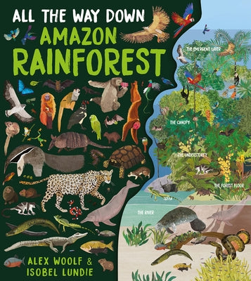 All the Way Down: Amazon Rainforest by Woolf, Alex