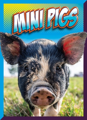Mini Pigs by Storm, Marysa