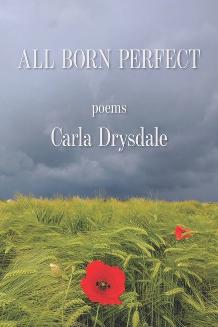All Born Perfect by Drysdale, Carla
