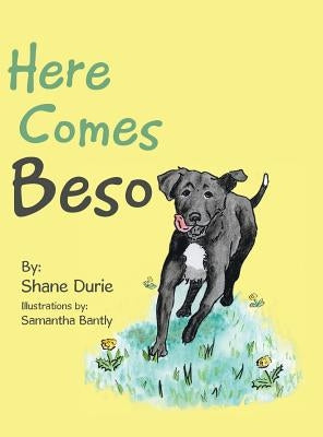 Here Comes Beso by Durie, Shane