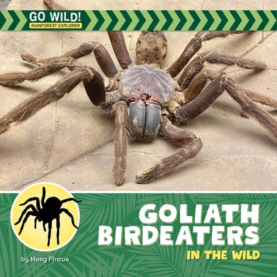 Goliath Birdeaters in the Wild by Pincus, Meeg