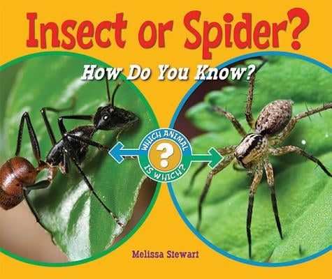 Insect or Spider?: How Do You Know? by Stewart, Melissa