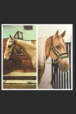Faces Of Rescue: True stories of horse rescue by Emerson-Boyd, Carrie