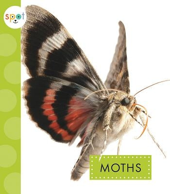 Moths by Black, Nessa