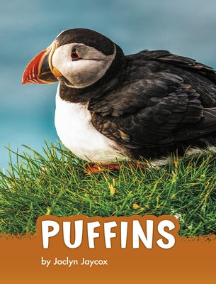 Puffins by Jaycox, Jaclyn