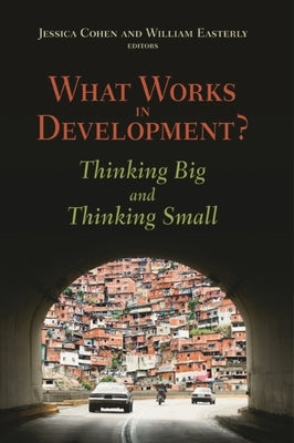 What Works in Development?: Thinking Big and Thinking Small by Cohen, Jessica