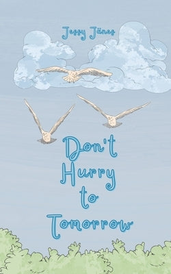 Don't Hurry to Tomorrow by J?nes, Jessy