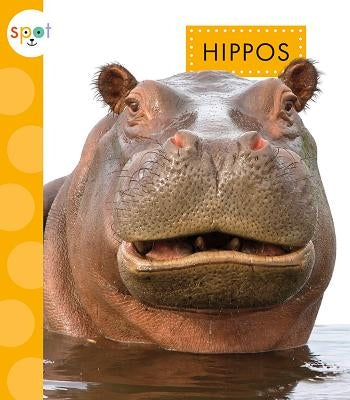 Hippos by Klukow, Mary Ellen
