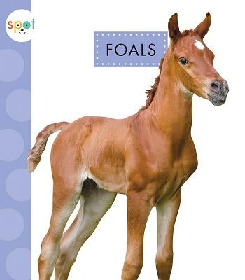 Foals by Suen, Anastasia