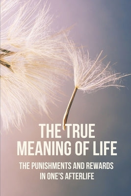 The True Meaning Of Life: The Punishments And Rewards In One's Afterlife: Zindagi Meaning by Gunner, Buster