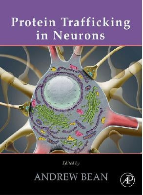 Protein Trafficking in Neurons by Bean, Andrew J.