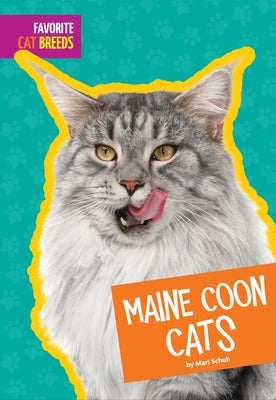 Maine Coon Cats by Schuh, Mari C.