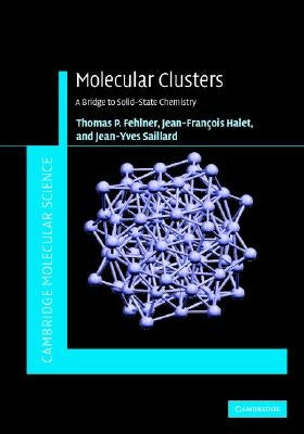 Molecular Clusters by Fehlner, Thomas