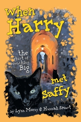 When Harry Met Saffy: The Start of Something Big by Morsy, Lynn