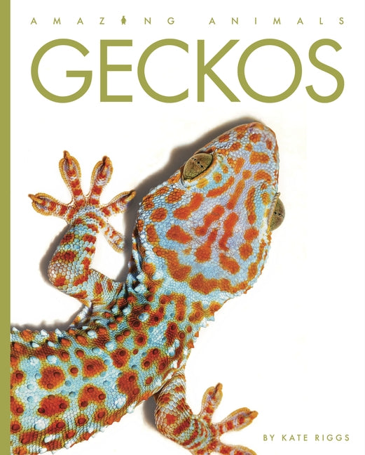 Geckos by Riggs, Kate