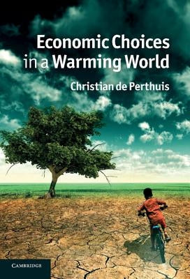 Economic Choices in a Warming World by de Perthuis, Christian